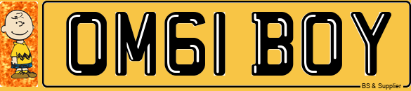 1 BOY ? Cherished Registration Number Plate OMG 1 BOY ? - DVLA Transfer Fee Paid