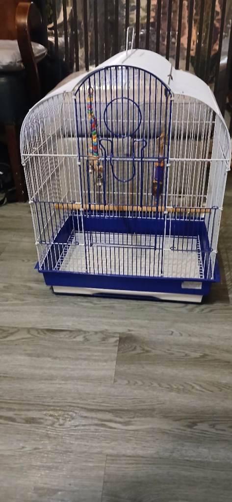Used but clean and pretty bird cage