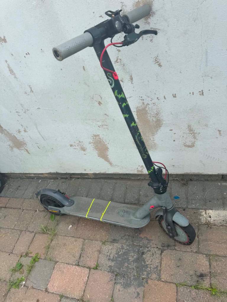 Electric Scooter 