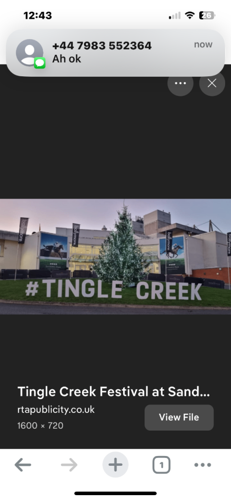 Sandown park tickets premier 