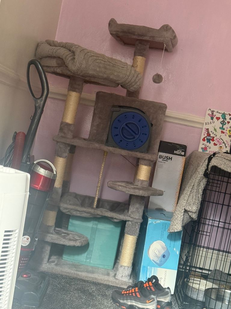 Cat scratcher 