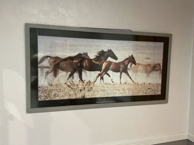 Large photographic Arab Horse print by Gerald Buthaud