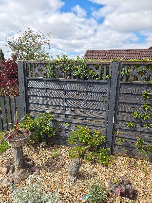 2 fence panels 6x6