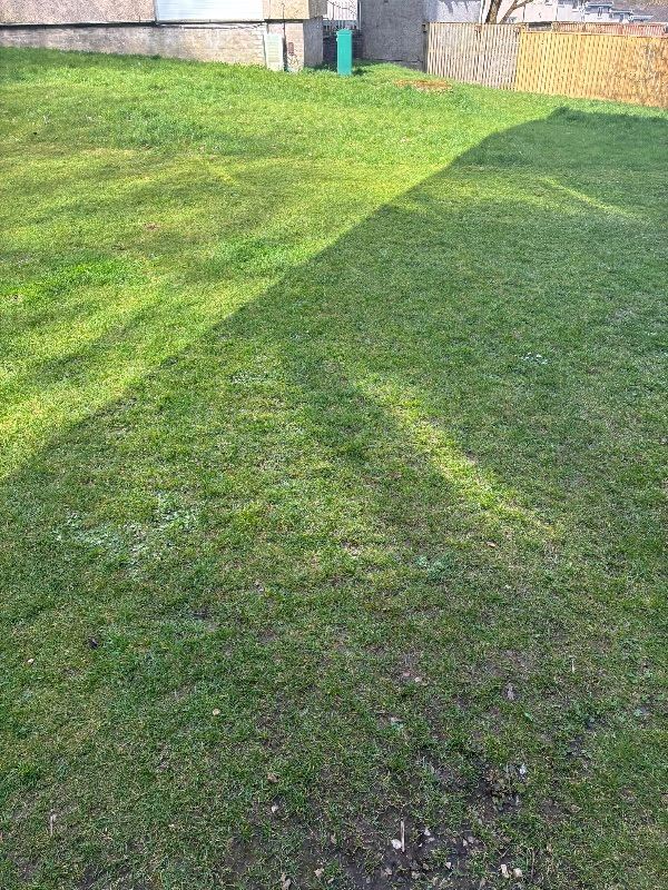 Grass Cutting/ Garden Care 
