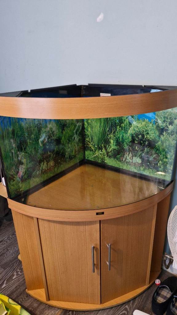 Large 190 litre Corner Fish Tank (Jewel Brand)