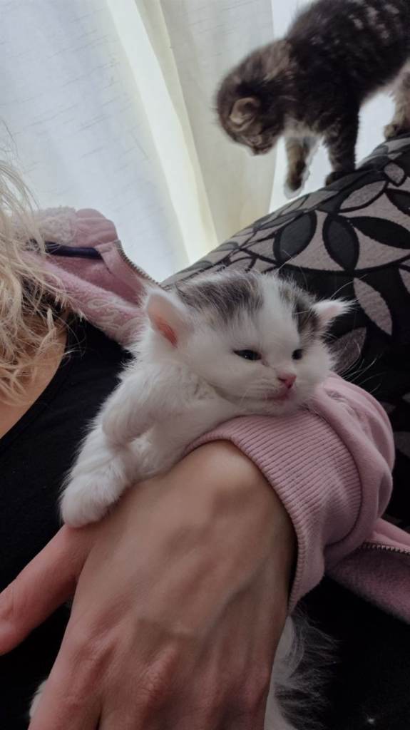 Very unique ready in 2 weeks