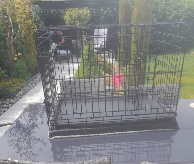 Kong Medium/Large dog crate