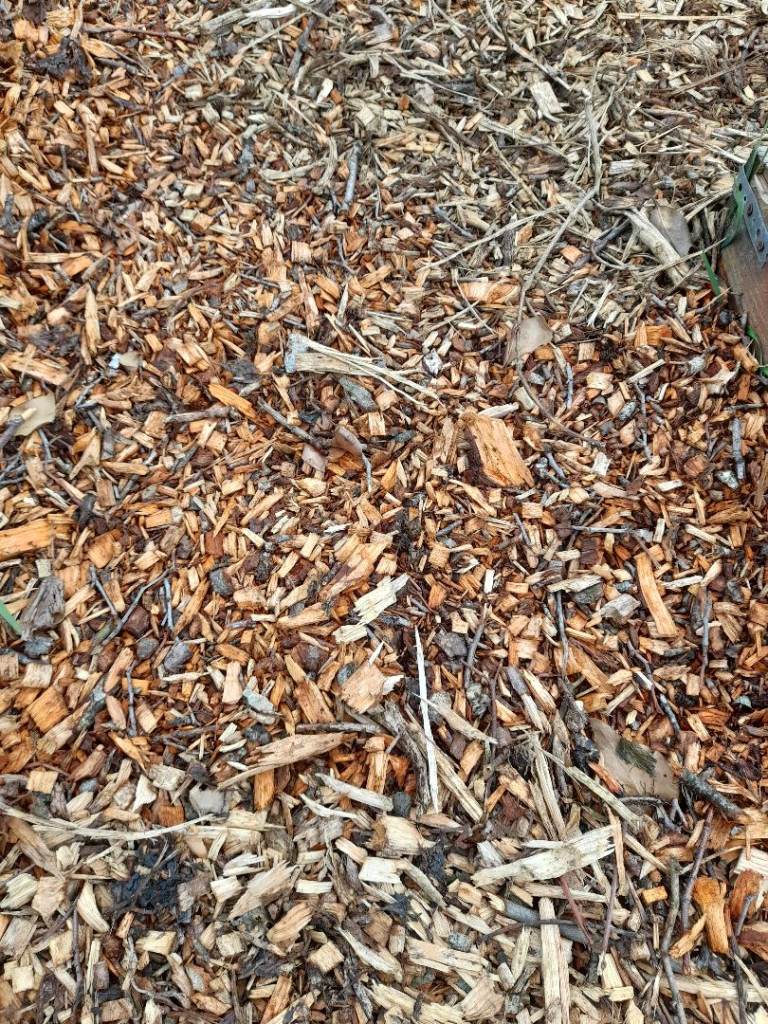 Wanted Wood Chippings Free or Cheap