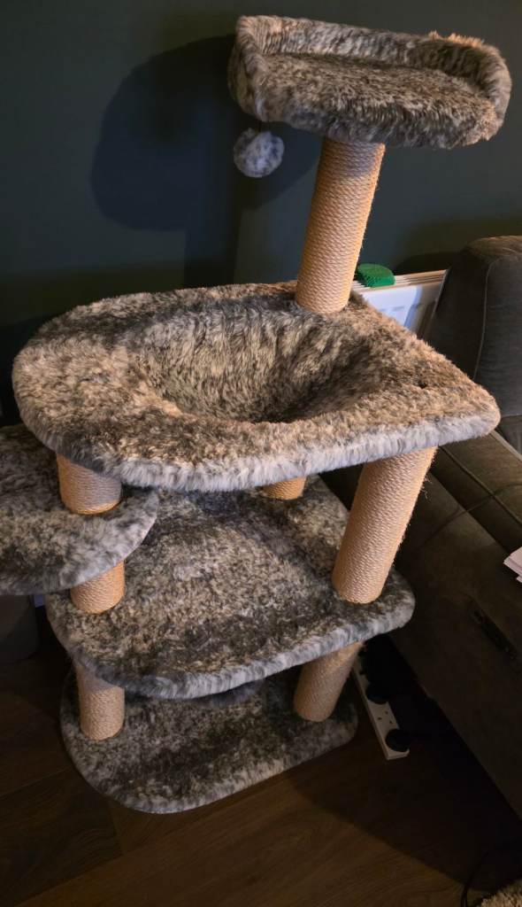 FREE Large Cat Stand