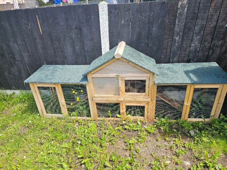 Rabbit hutch 