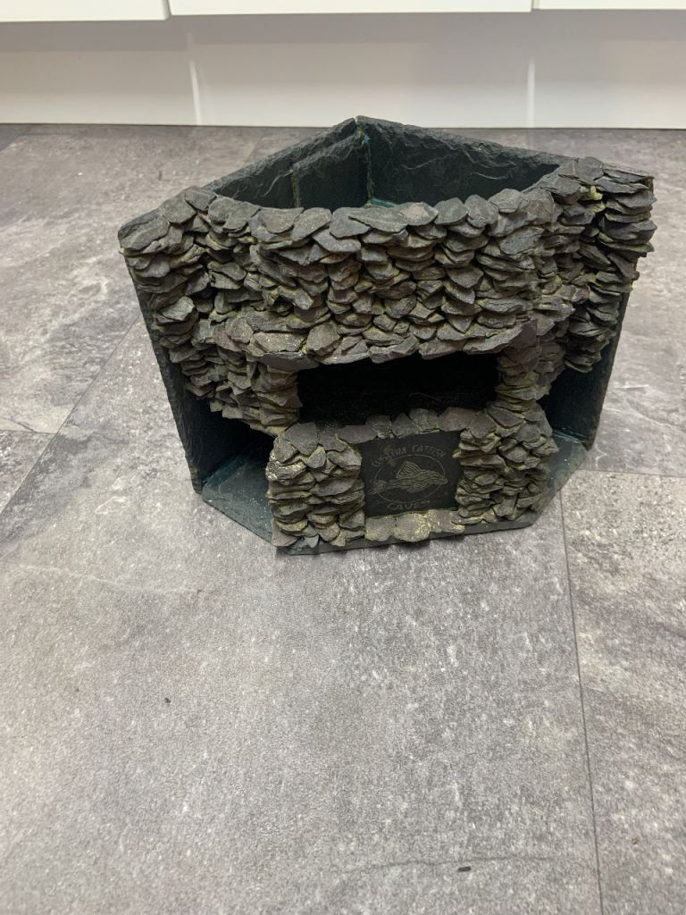 Custom catfish cave fish tank 