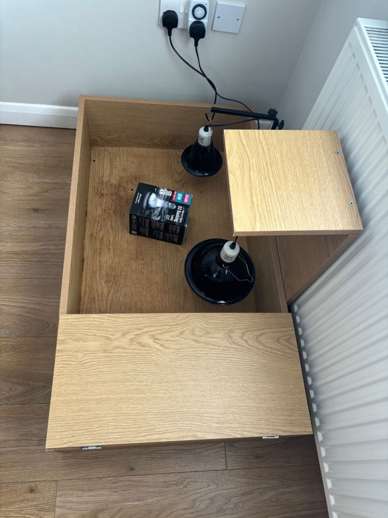 Tortoise table
