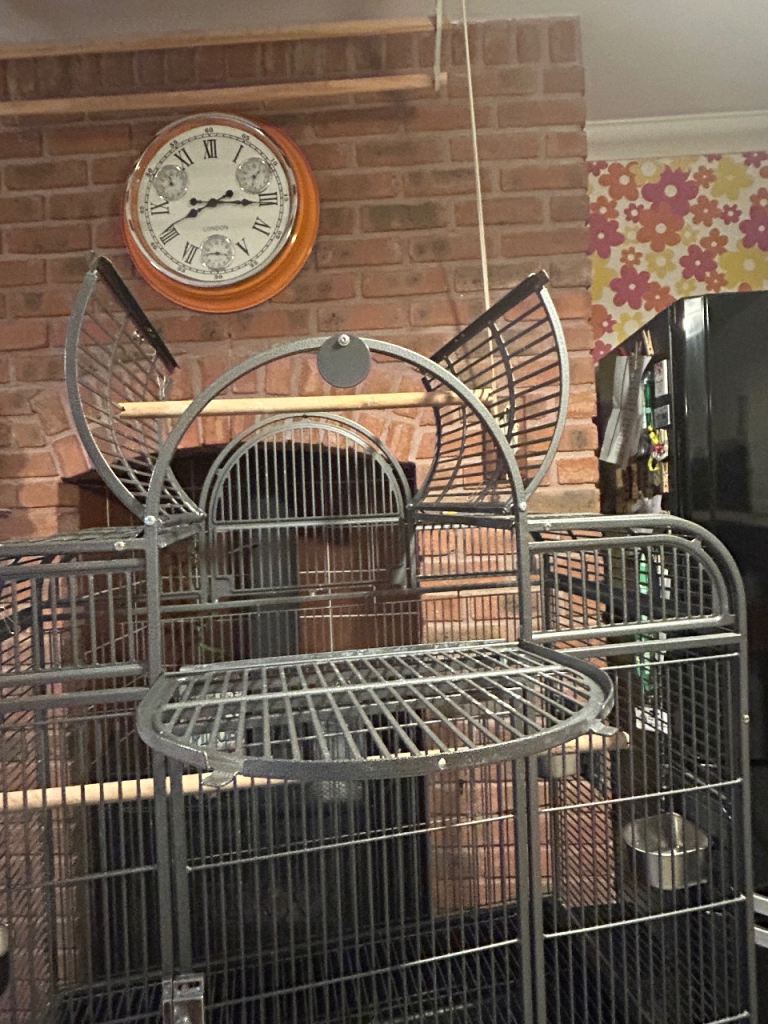 Bird cage