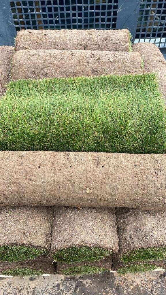 25 Rolls Quality Turf