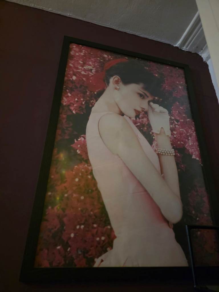 Audrey Hepburn Framed Poster 