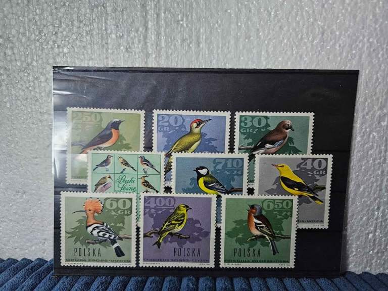 10 x mint postal stamps forest Birds, Poland