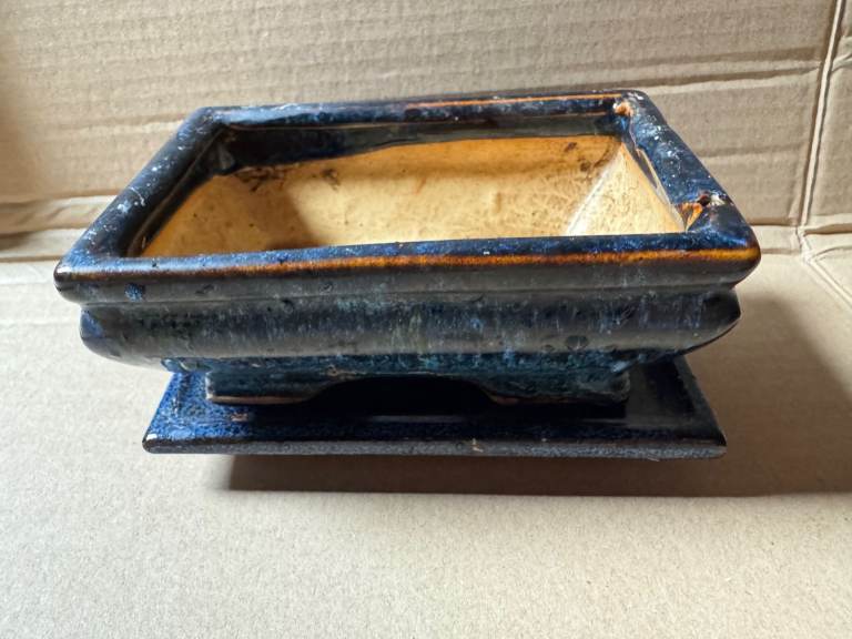 image for Bonsai pot