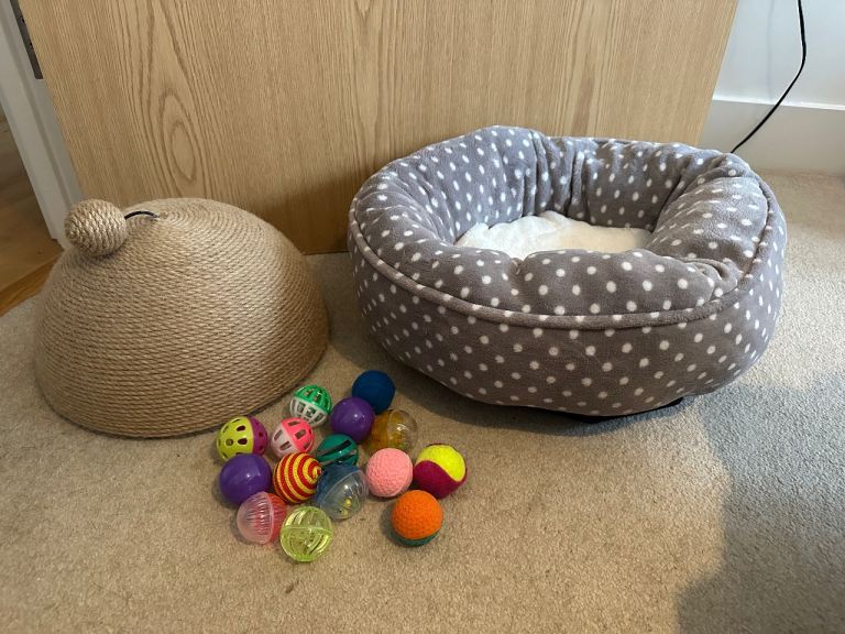 Cat Bed, Scratching Dome and Toys