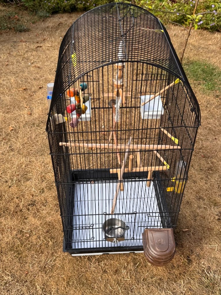 Large Black Curved Bird Cage with All Accessories – Good Condition