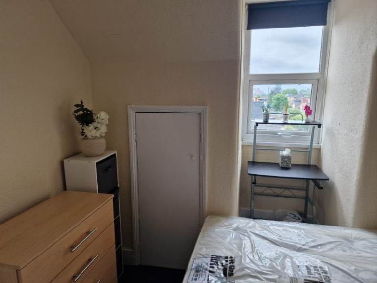 Cozy single room 