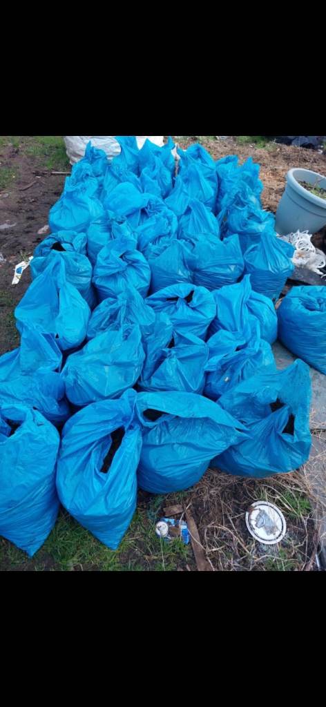 Hassle free baged Horse manure! 