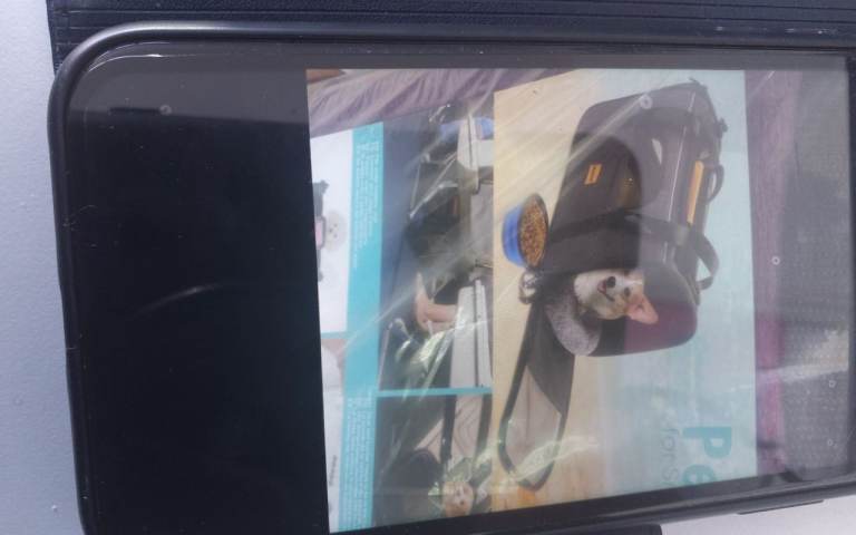 NEW IN BOX UNOPENED PET CARRIER 