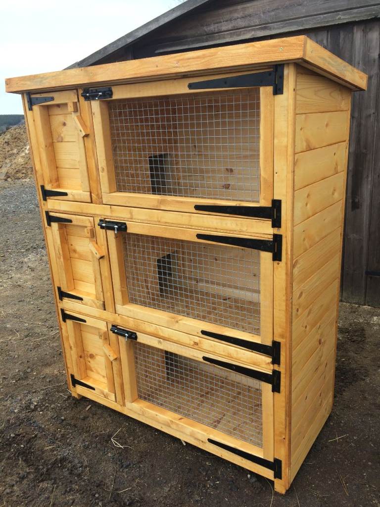 Three Tier Rabbit hutch