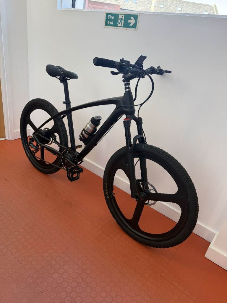 Full Carbon Frame eBike