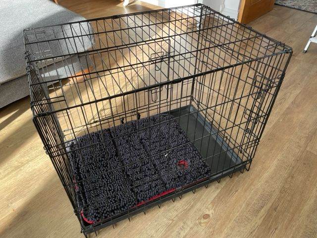 Dog Crate - medium two door with pad