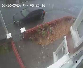 Volunteer wanted for Disabled pensoner