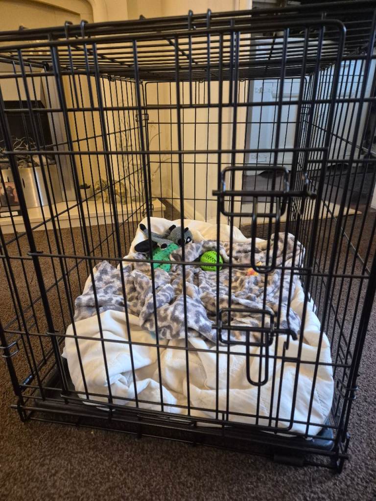 Small dog crate 
