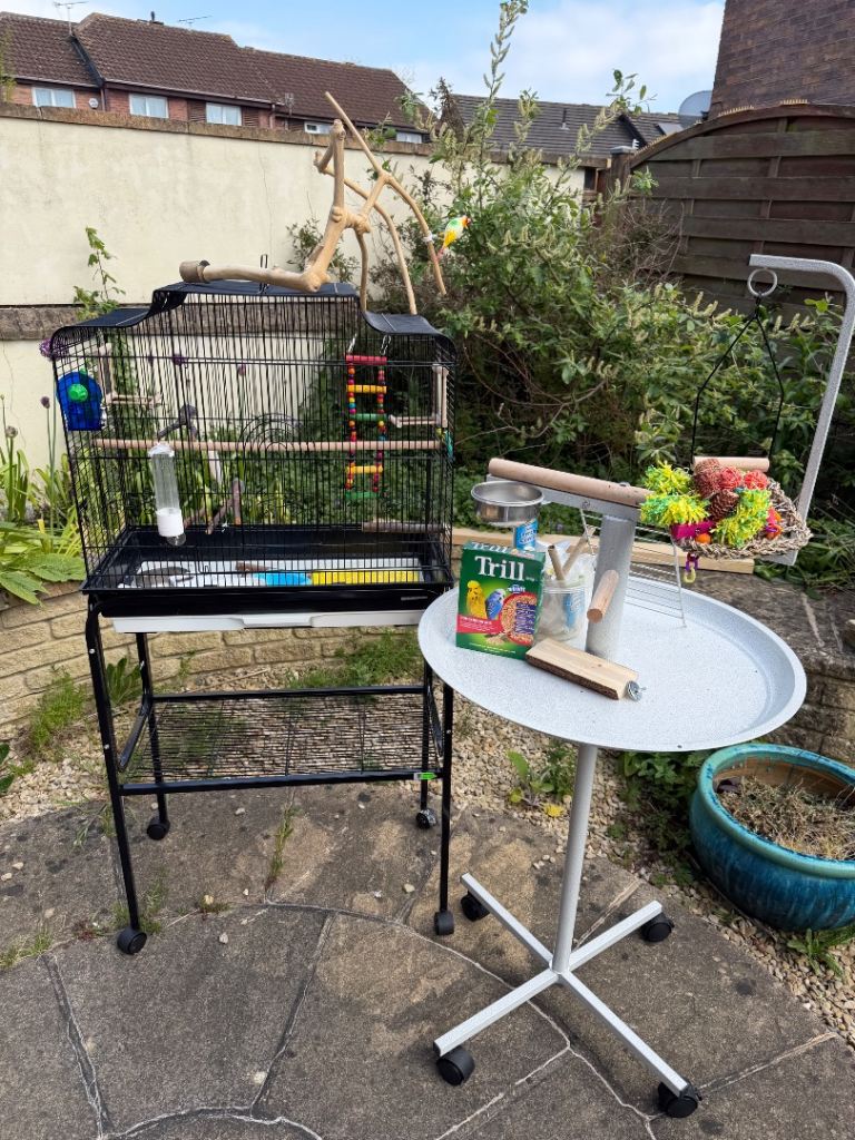 Budgie/small parrot cage and stand etc