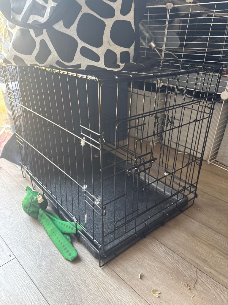 Dog crate 