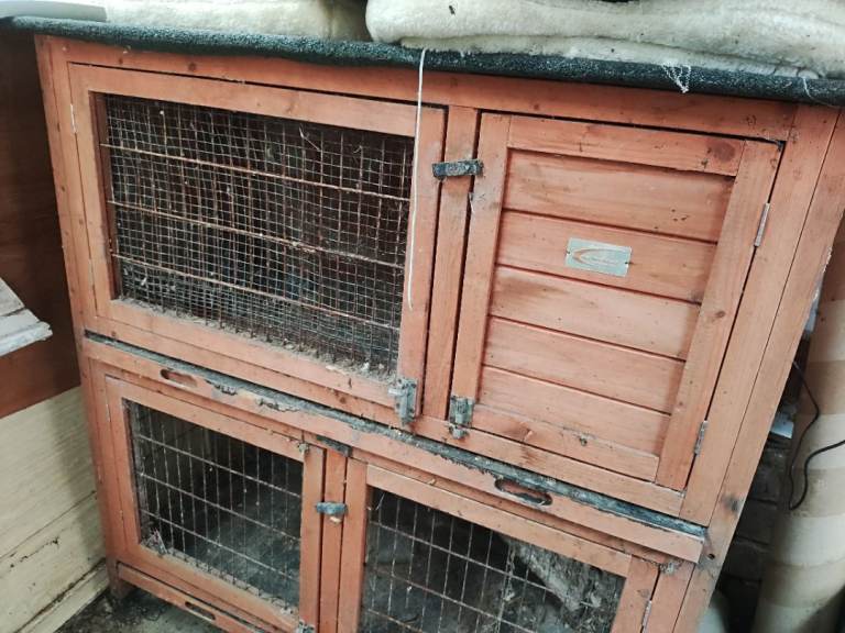Rabbit Guinea Pig Hutch 