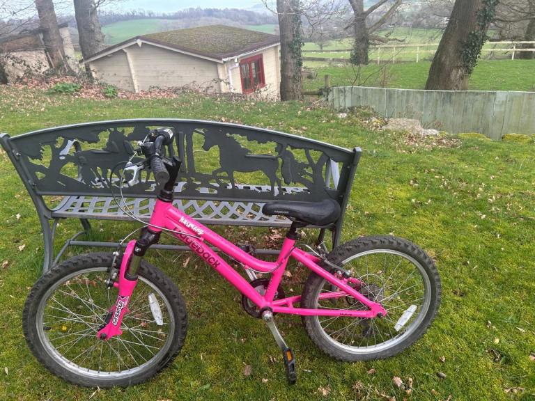 Ridgeback Harmony girls pink lightweight 20 inch wheel mountain bike 