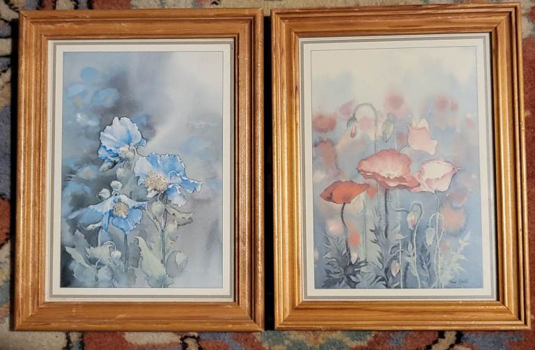 Vintage Trudi Finch Framed Floral Prints - 9 x 7 inch 