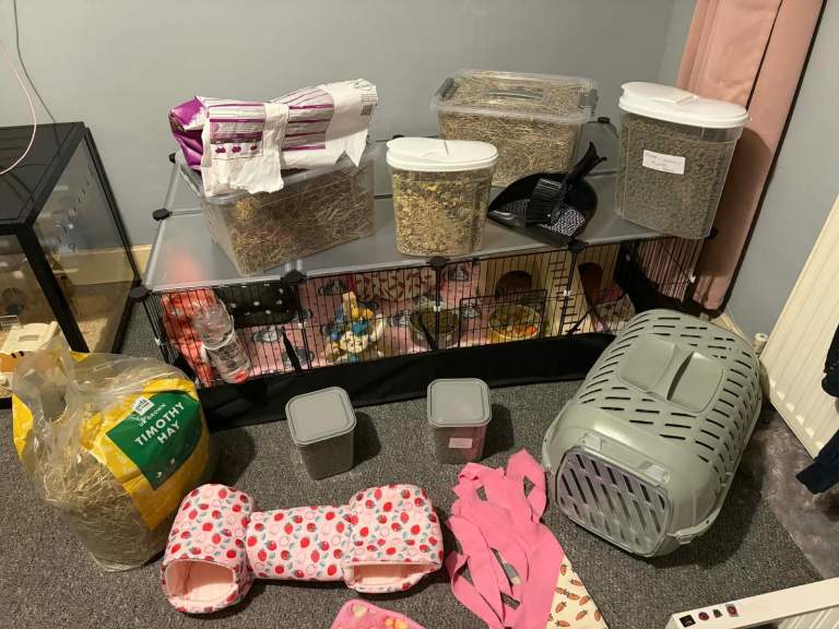 Guinea pig cage with all accessories