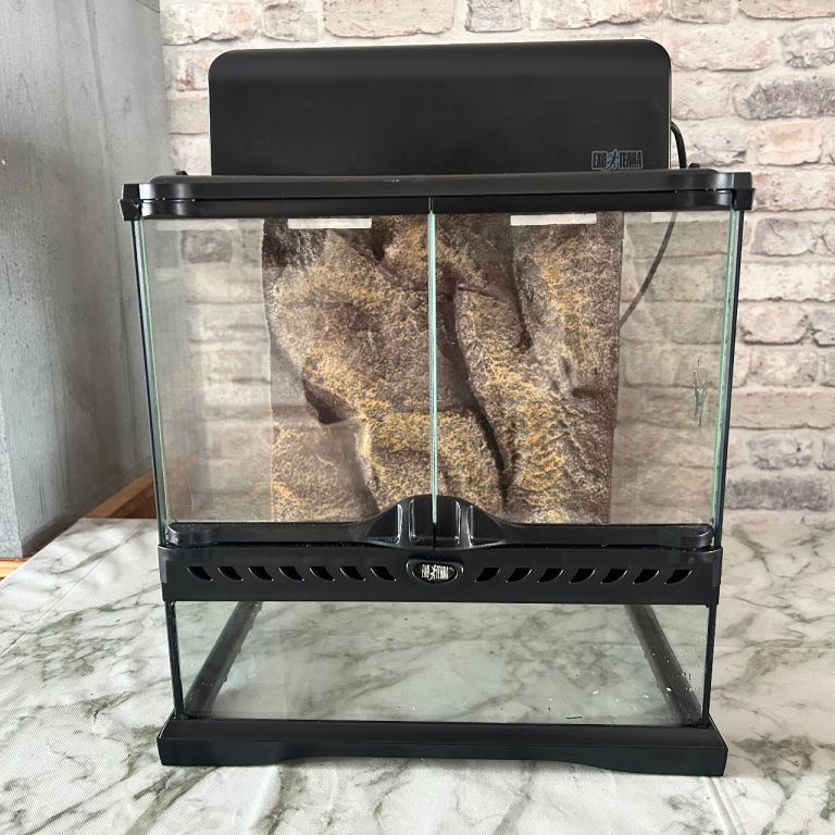Exo terra desert terrarium set up 