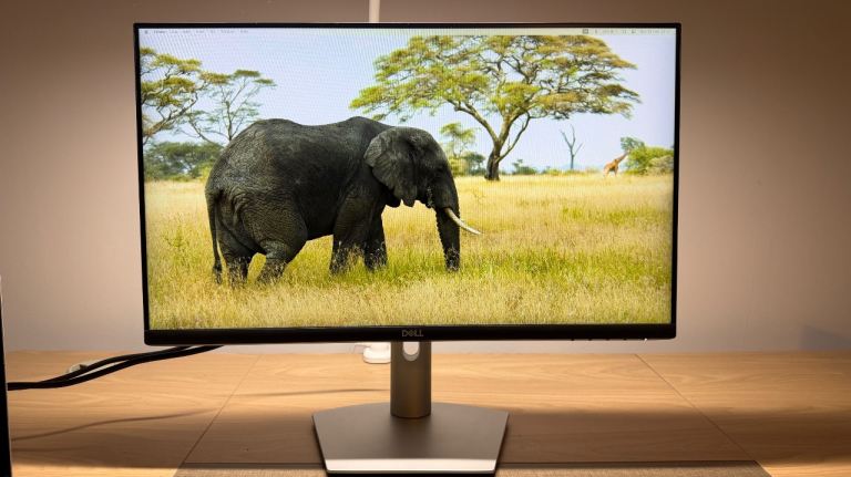 Dell 24” Monitor