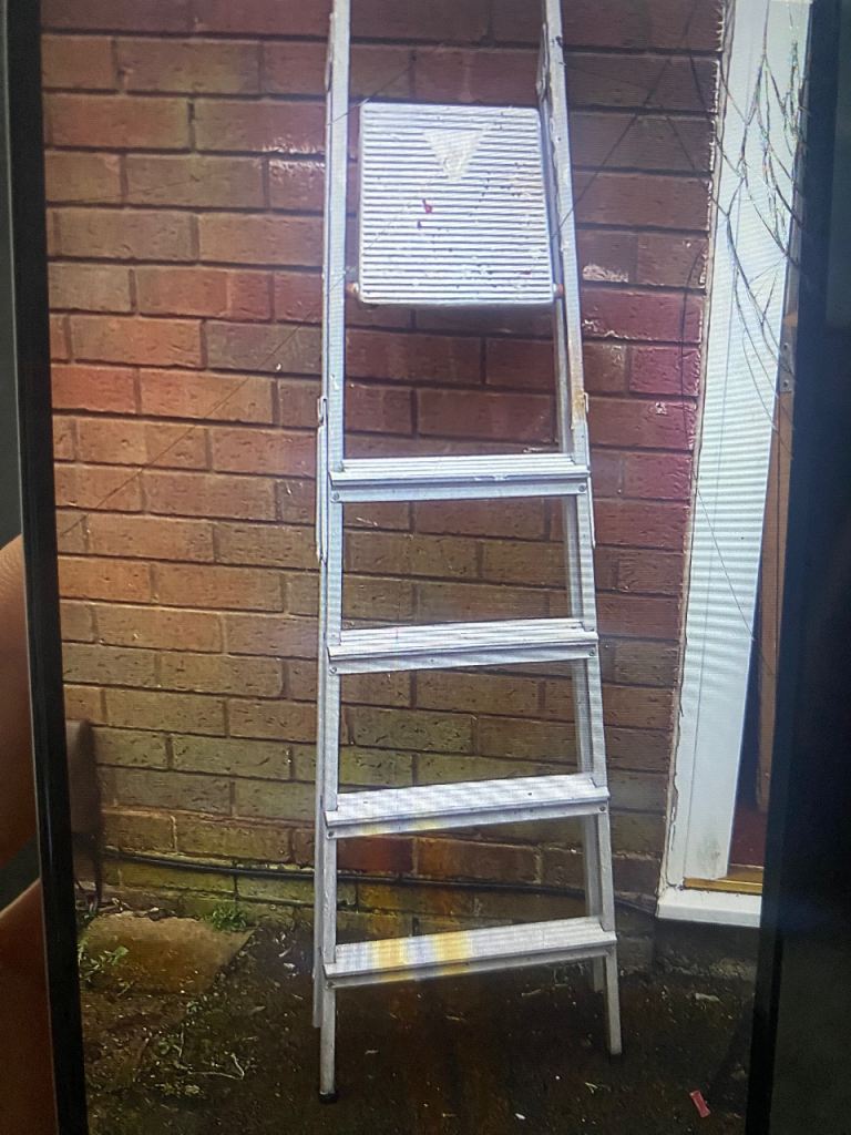 2 ladders 30 for both