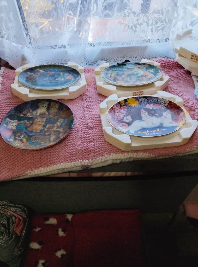 4 New cat  porcelain plates all have plate numbers on back