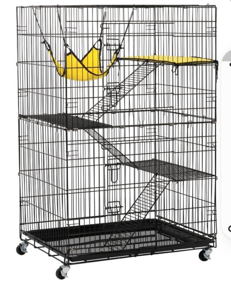 Kitten cage