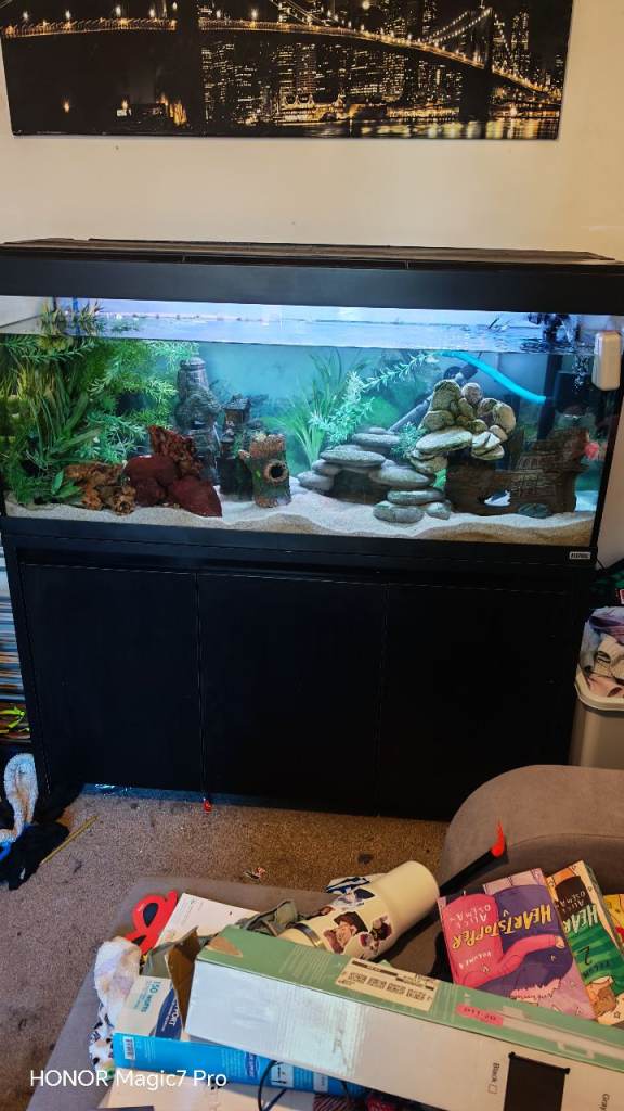 240L Fluval Aquarium & Cabinet – Fluval 307 + Extras