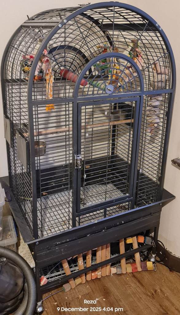 Rainforest Large Parrot Cage