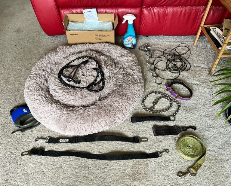 Dog accessories- various