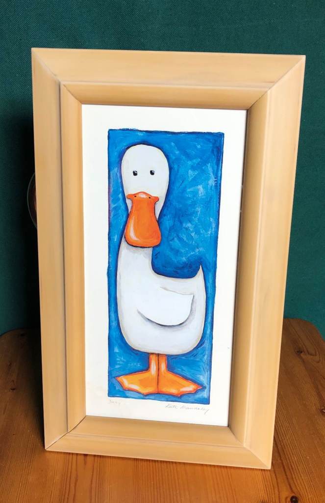 NEW FRAMED PICTURE OF ATTRACTIVE DUCK