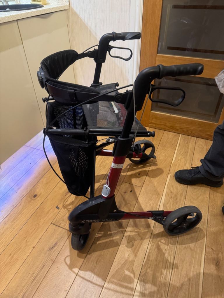 Mobility stroller 