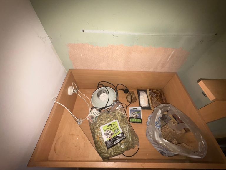 Tortoise table / enclosures with lamp and accessories 