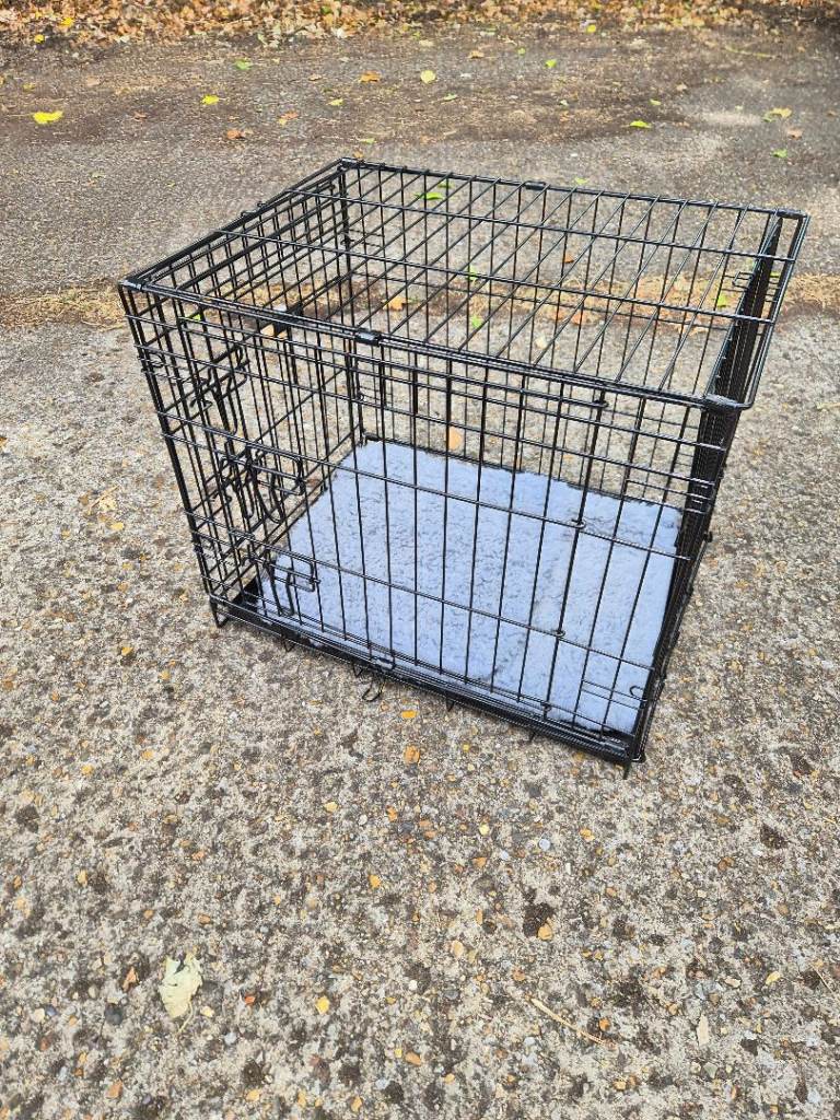 Ellie bo 24 inch folding dog crate