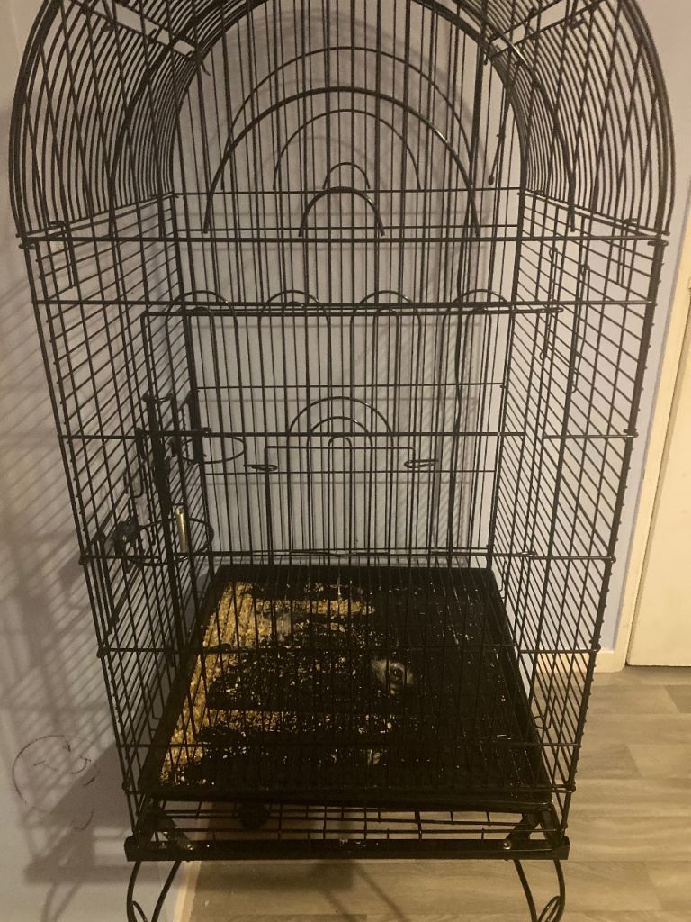 Birdcage for sale
